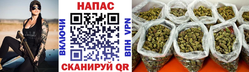 Где купить наркоту Алексеевка ГАШ  omg ССЫЛКА  A PVP  МЕФ  Каннабис 