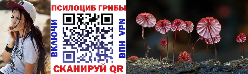 omg маркетплейс  Алексеевка  Галлюциногенные грибы GOLDEN TEACHER  наркота 